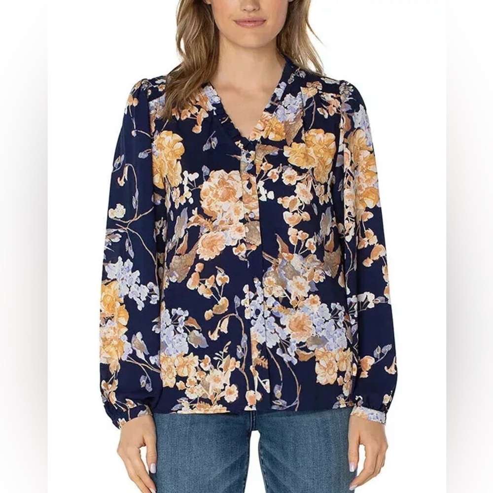 Well Worn Women Button Front Long Sleeve V Neck Ruffle Detail Blouse